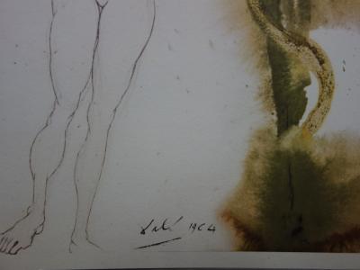 Salvador Dali : Biblia Sacra, Adam et Eve - Lithographie Signée, 1969 2