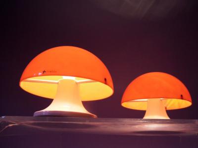 Paire de Lampe de Luigi Massoni - édition Guzzini - 1960 2