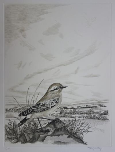 Tavy NOTTON : Moineau solitaire, Gravure originale signée 2