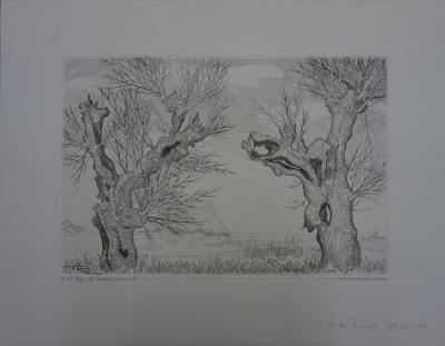 André Roland BRUDIEUX : Les vieux arbres noueux, Gravure originale signée 2