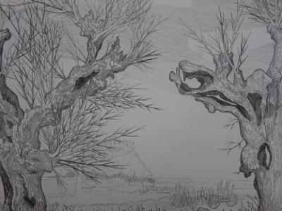 André Roland BRUDIEUX : Les vieux arbres noueux, Gravure originale signée 2