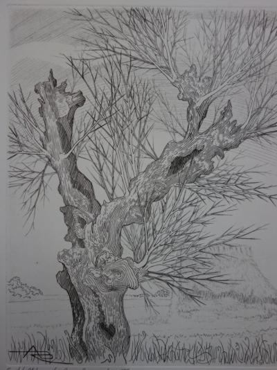 André Roland BRUDIEUX : Les vieux arbres noueux, Gravure originale signée 2