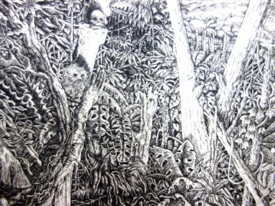 Bertrand SEGUY - Robinson Crusoé, Gravure originale signée 2