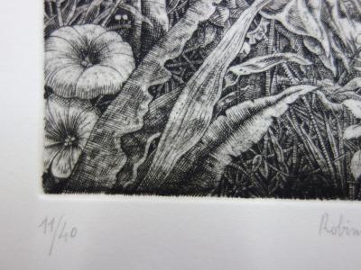 Bertrand SEGUY - Robinson Crusoé, Gravure originale signée 2
