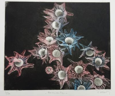 Simone VRAIN : Edelweiss, Gravure originale signée 2