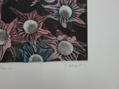 Simone VRAIN : Edelweiss, Gravure originale signée 2