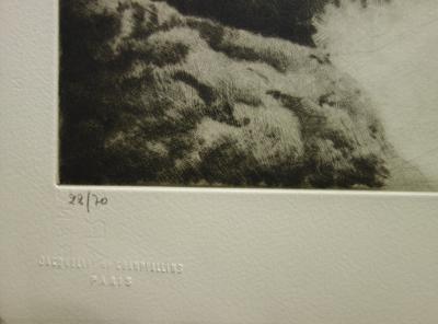 Yannick BALIF - Le ravin bleu, Gravure originale signée 2