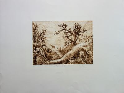 Golberg - Paysage imaginaire, Pointe sèche originale signée 2
