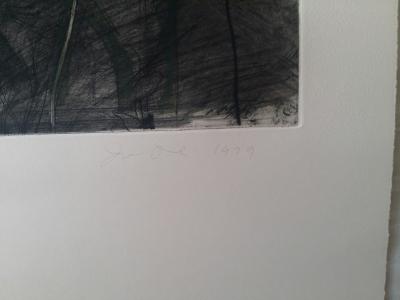 Jim Dine - ’Nancy Outside in July VI: Flowers of the Holy Land, 1979 - Gravure originale signée au crayon 2