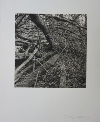 Philippe MARTIN - La forêt, photogravure originale signée 2