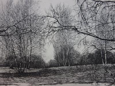 Livio CESCHIN - Premiers jours de mars, gravure originale signée 2