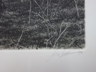 Livio CESCHIN - Premiers jours de mars, gravure originale signée 2