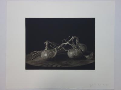 Judith ROTCHILD - Trois oignons, gravure originale signée 2