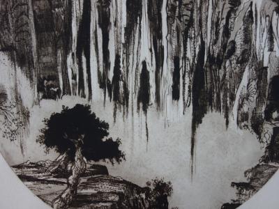 Gérard DIAZ - Cascade Langevin, gravure originale signée 2