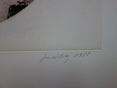 Gérard DIAZ - Cascade Langevin, gravure originale signée 2