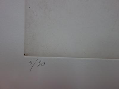 Gérard DIAZ - Cascade Langevin, gravure originale signée 2