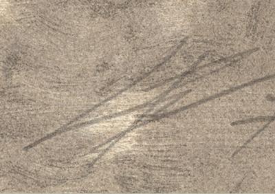 Luc Tuymans - Nose, 2014 - Lithographie signée au crayon 2