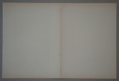 Jean Hans ARP - Relief I. + II.,1954 - Bois gravés originales 2
