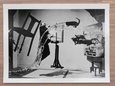 Philippe Halsman - Dali Atomicus 2