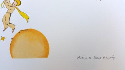 Saint Exupéry - Le Petit Prince en route vers une autre planète - 2009 2
