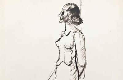Yves BRAYER - 