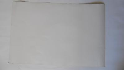 CHRISTO - Wrap Coast Australia, 1969 - Poster photographique 2