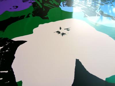 Andy WARHOL (d’après) - Fleurs 11.64 - Sérigraphie 2