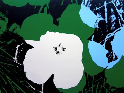 Andy WARHOL (d’après) - Flowers 11.64 - Sérigraphie 2