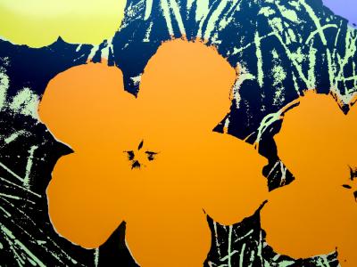 Andy WARHOL (d’après) - Flowers 11.67 - Sérigraphie 2