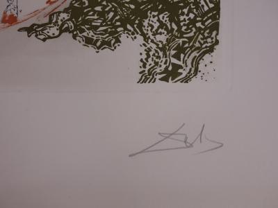 Salvador Dali : Vision de Paradis - Gravure originale signée 2