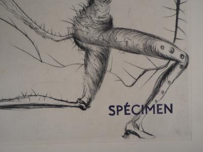 Salvador Dali : Démon ailé / Les amoureux - Deux gravures originales 2