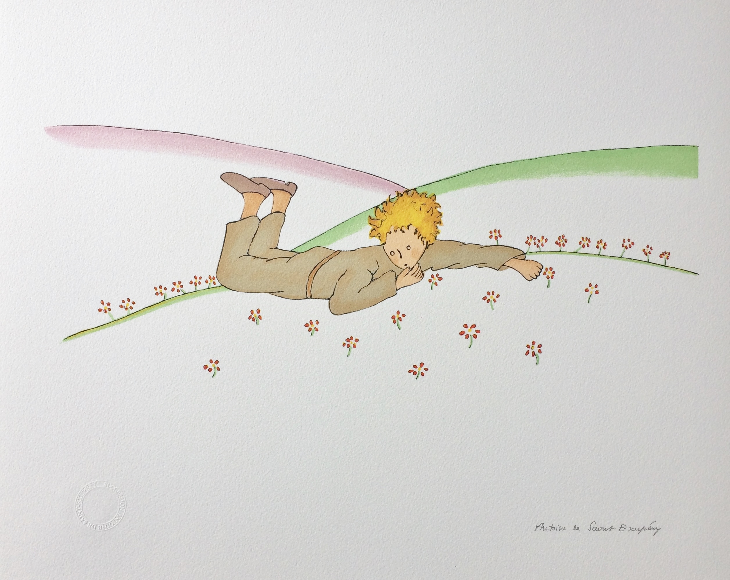 Le Petit Prince Illustrations Originales www.plazzart.com