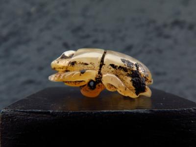 Ancient Egyptian calcite scarab amulet 2