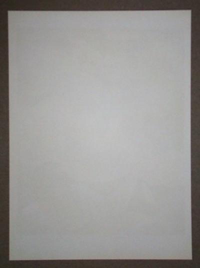 Georges BRAQUE - Deux Oiseaux Avec Nuages, 1955 - Lithographie originale 2