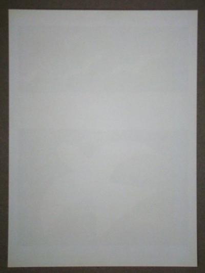 GEORGES BRAQUE ( d’après ) - Les oiseaux - 1955 2