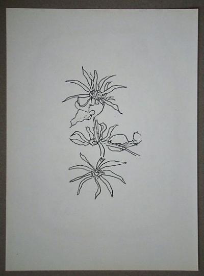 Georges BRAQUE - Le Tournesol, 1955 - Lithographie originale 2