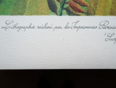 Lithographie Henri Rousseau (1844-1910)  