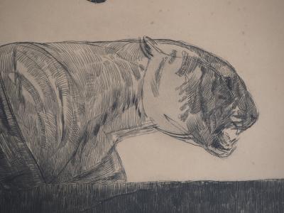 Paul JOUVE : Deux tigres marchant - Gravure originale signée 2