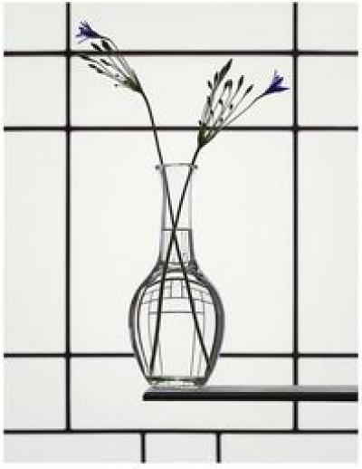 Erwin OLAF - Vogue, Still Life with Triteleia, 2018 - Tirage numérique 2