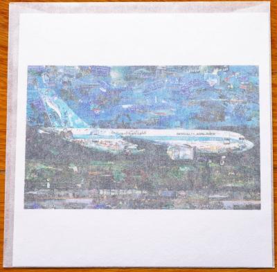 Vik MUNIZ - Jetliner, 2018 - Photographie signée a la main 2