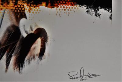 Robert Hilmersson - Spotless Red - Impression signée 2