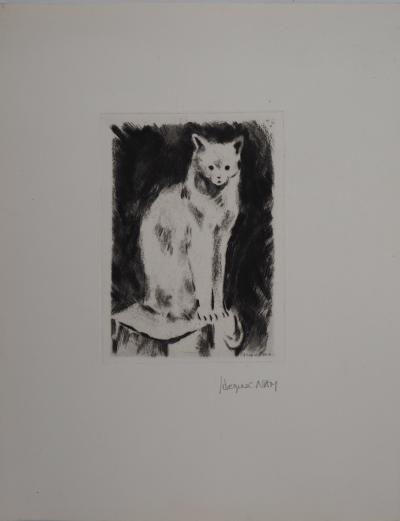 Jacques NAM : Chat persan - gravure originale signée 2
