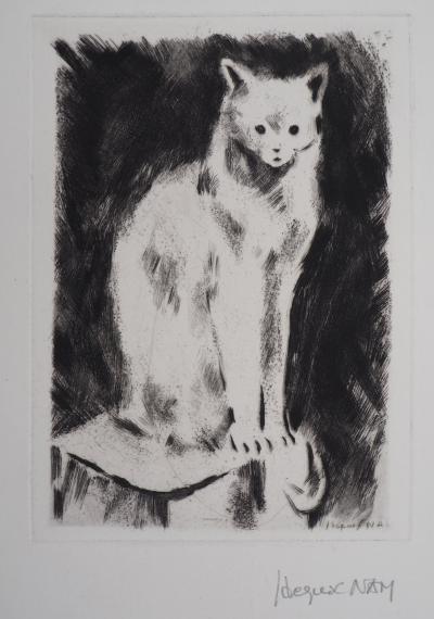 Jacques NAM : Chat persan - gravure originale signée 2