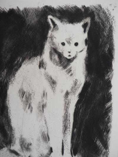 Jacques NAM : Chat persan - gravure originale signée 2