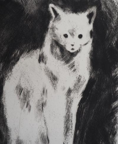 Jacques NAM : Chat persan - gravure originale signée 2