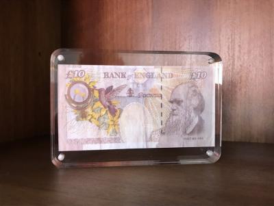 BANKSY - DIFACED TENNER, faux billet de dix livres 2