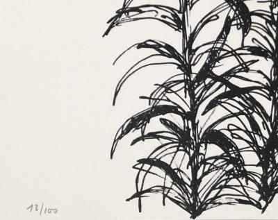 Bernard CATHELIN - Composition, 1988 - Lithographie signée au crayon 2