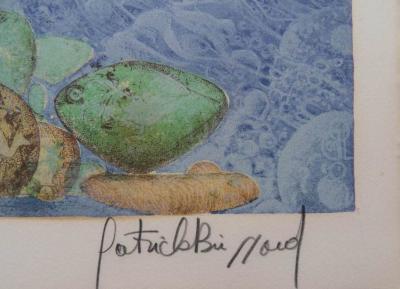 Patrick BRISSAUD - Le roi foudre - Lithographie originale signée au crayon 2