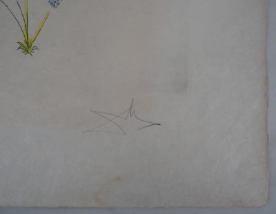 Salvador Dali : 12 Tribus d’Israel, Joseph - Gravure originale signée 2