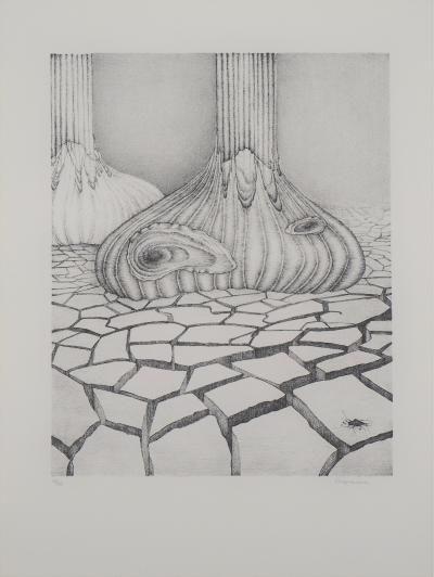 Gochka Charewicz - Terre arride  - Lithographie originale signée 2